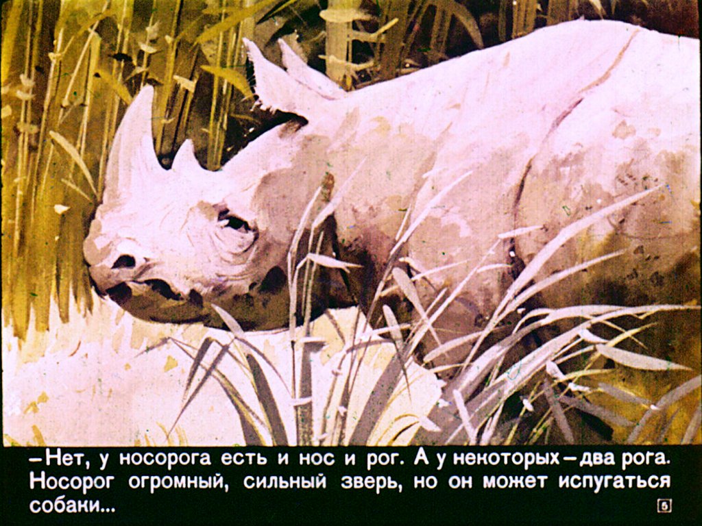 Кадр 5 диафильма «Я иду за носорогом»