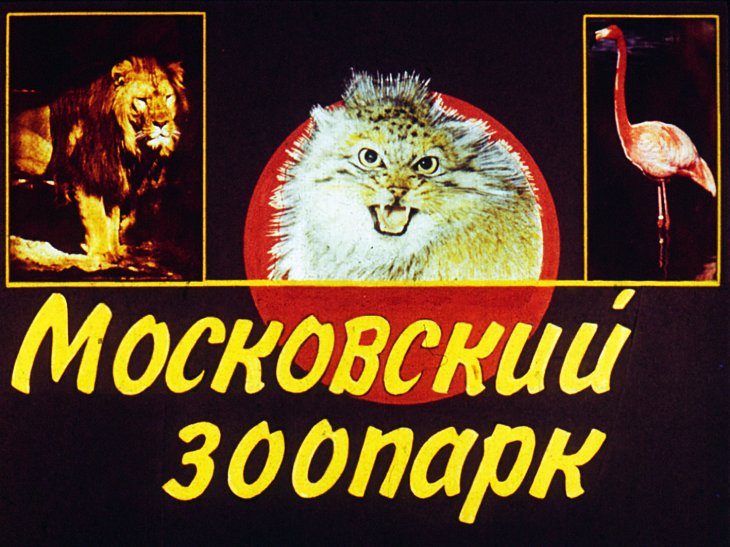 Кадр 1 диафильма «Московский зоопарк»