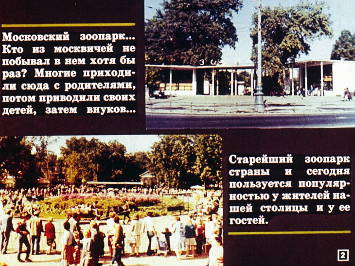 Кадр 2 диафильма «Московский зоопарк»