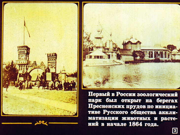 Кадр 3 диафильма «Московский зоопарк»