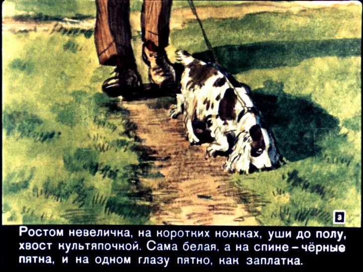 Кадр 3 диафильма «Латка»