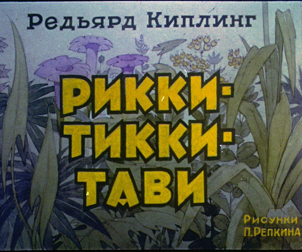 Кадр 1 диафильма «Рикки-Тики-Тави»