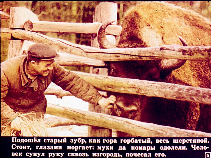 Кадр 5 диафильма «Звериная дача»