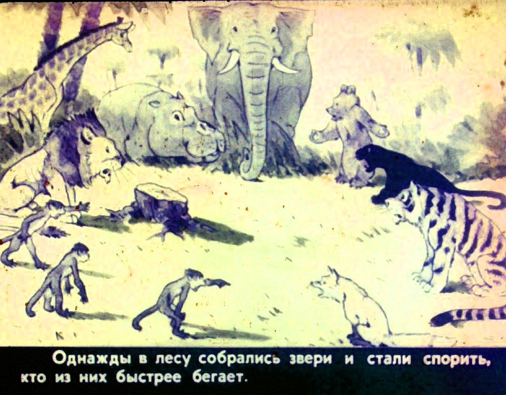 Кадр 2 диафильма «Кросс»