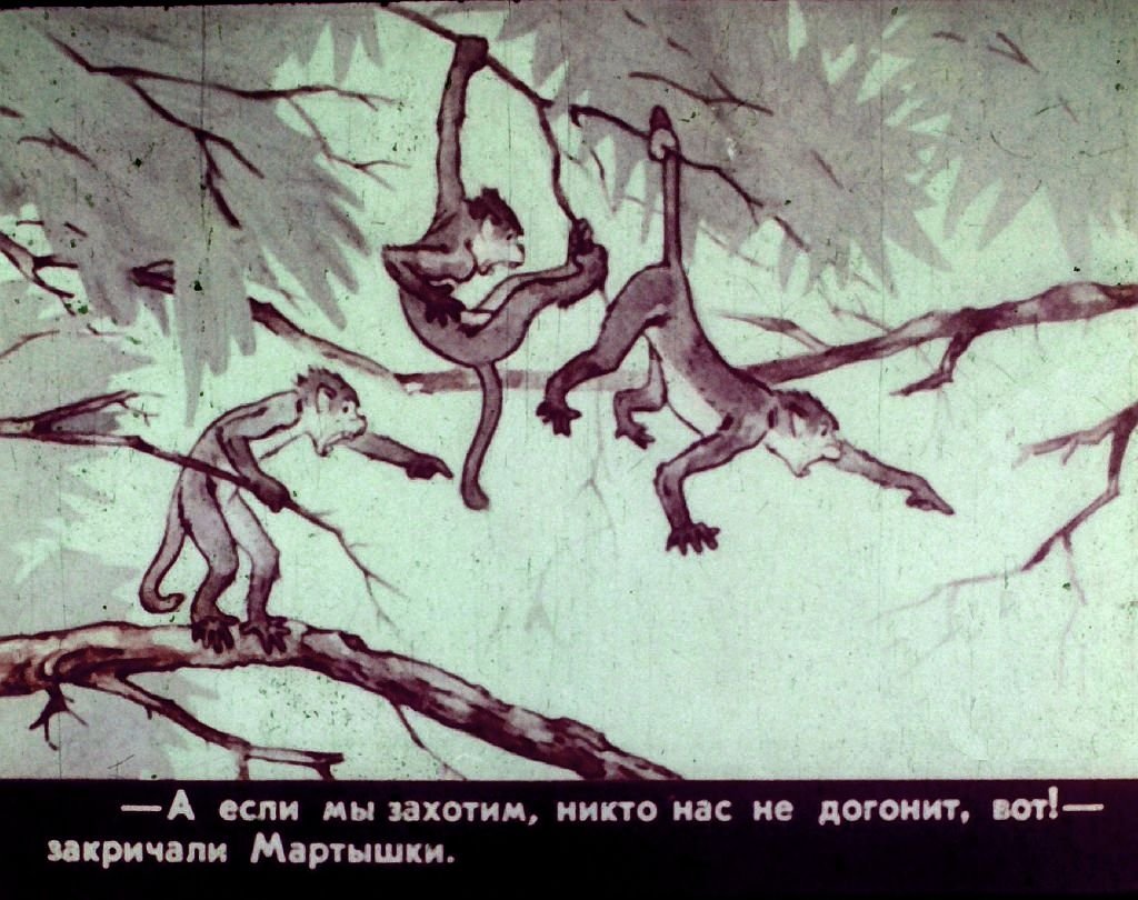 Кадр 6 диафильма «Кросс»