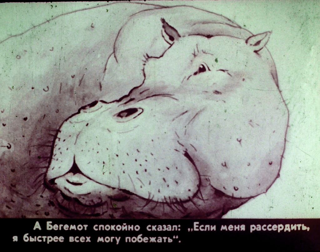 Кадр 7 диафильма «Кросс»