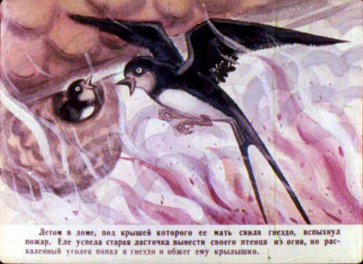 Кадр 5 диафильма «Слеза матери»