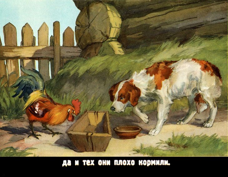 Кадр 5 диафильма «Петух и собака»