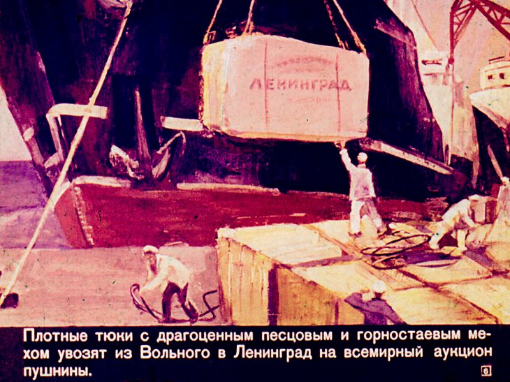 Кадр 6 диафильма «Шутка»
