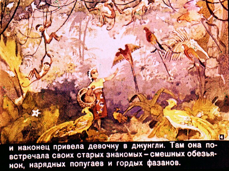 Кадр 4 диафильма «Девочка и тигр»