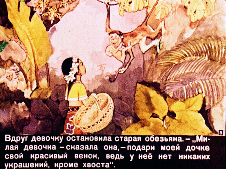 Кадр 5 диафильма «Девочка и тигр»