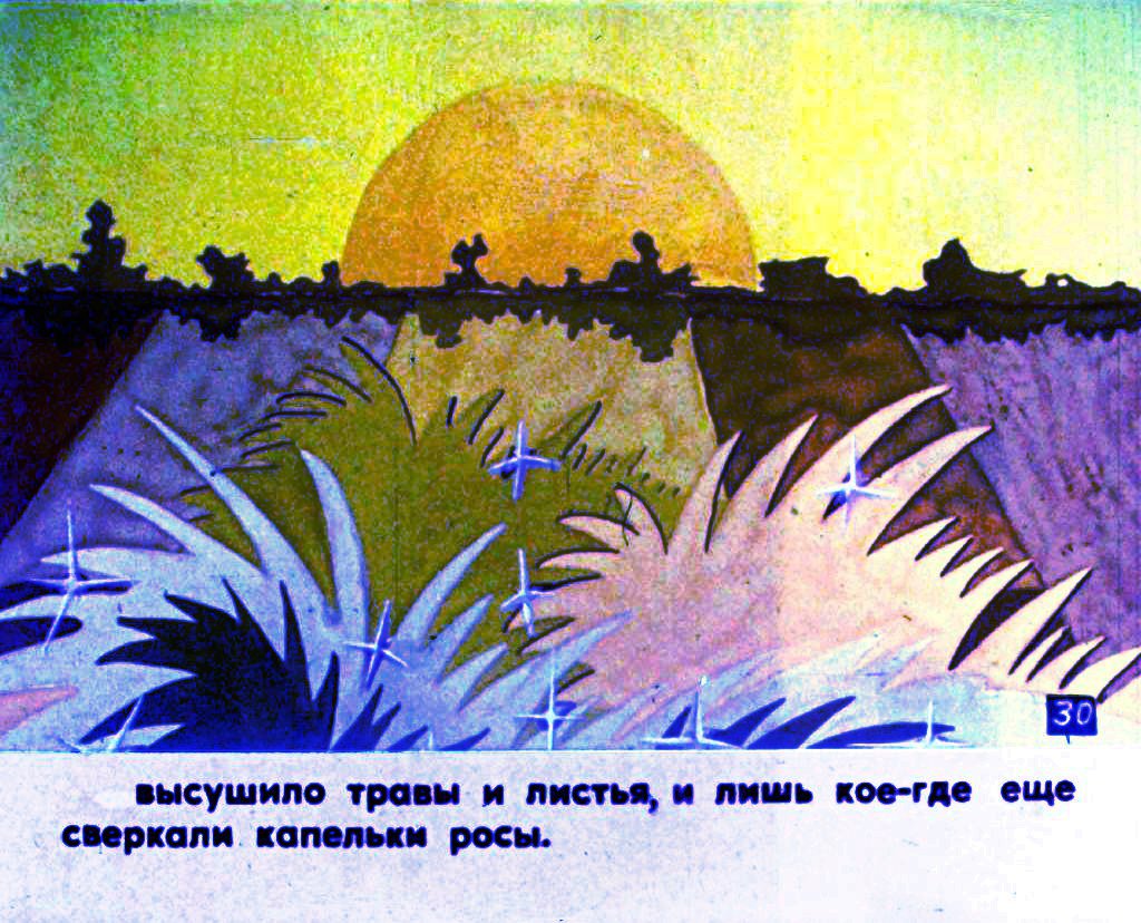Кадр 3 диафильма «Про фиалку. Часть 2»