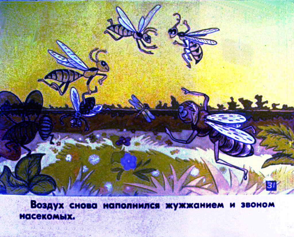 Кадр 4 диафильма «Про фиалку. Часть 2»