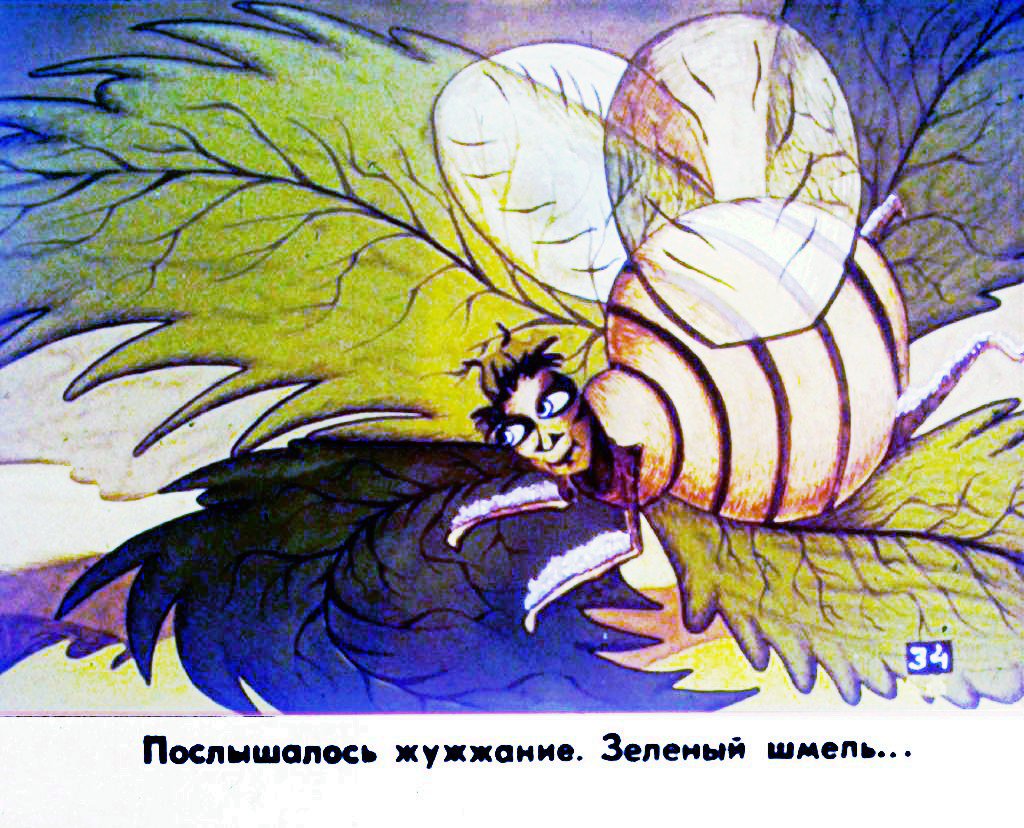 Кадр 7 диафильма «Про фиалку. Часть 2»