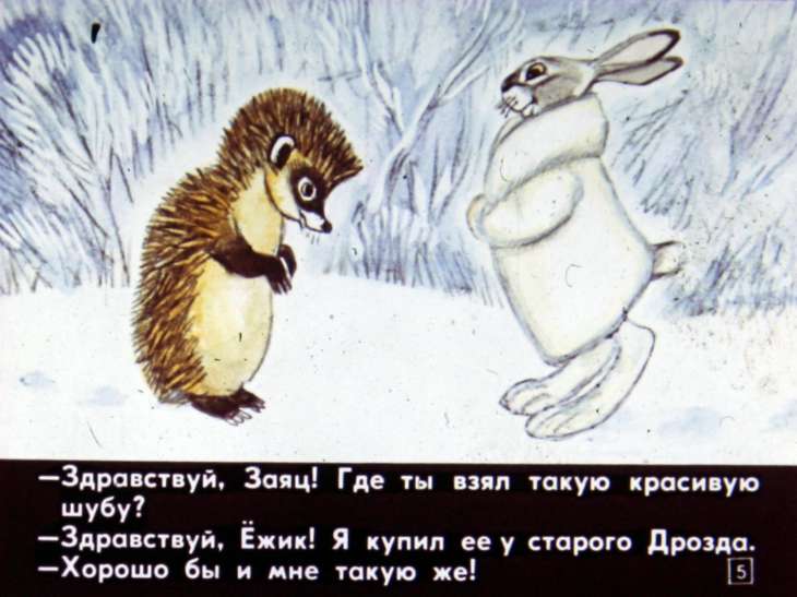 Кадр 5 диафильма «Как ежик шубу менял»