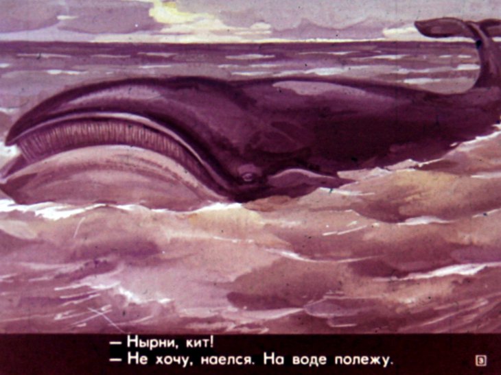 Кадр 3 диафильма «Кто живет в холодном море»