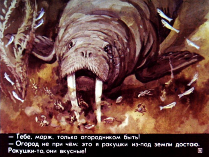 Кадр 5 диафильма «Кто живет в холодном море»