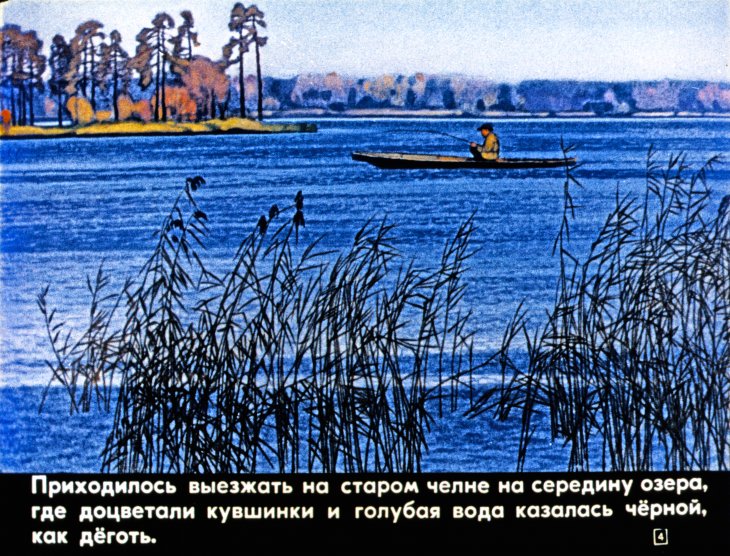 Кадр 4 диафильма «Барсучий нос»