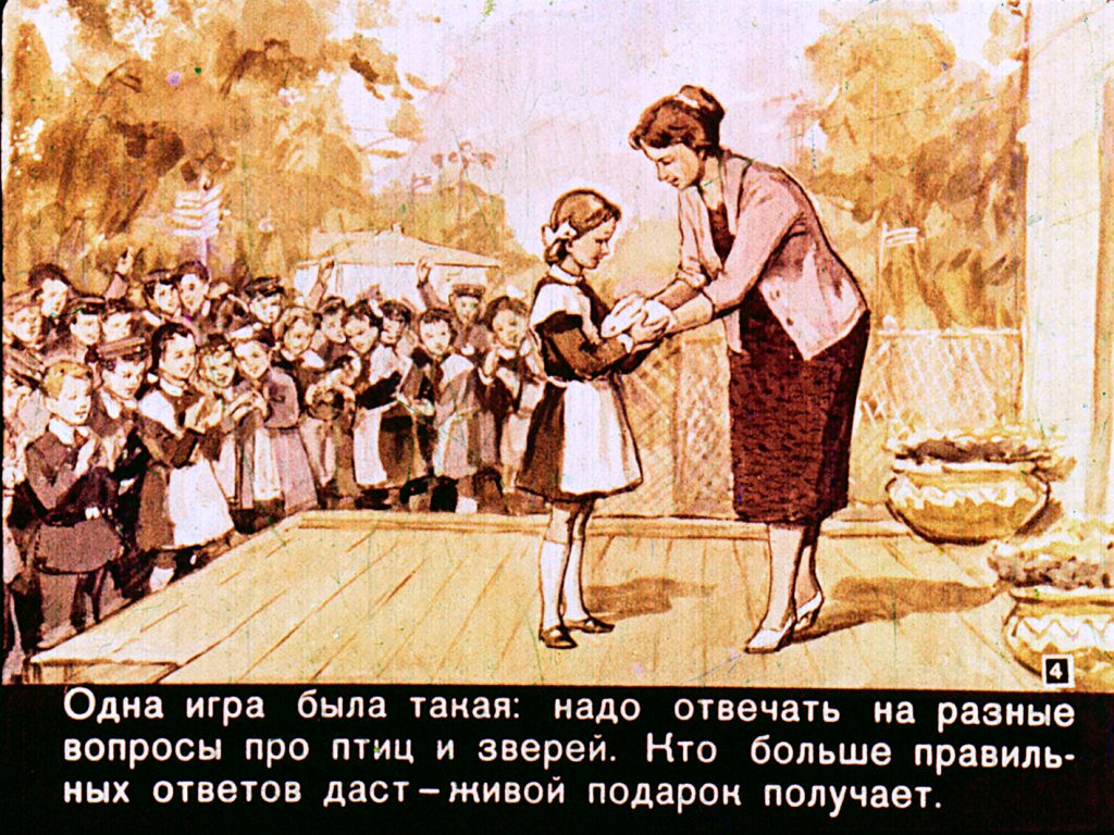 Кадр 4 диафильма «Пионерский петух»