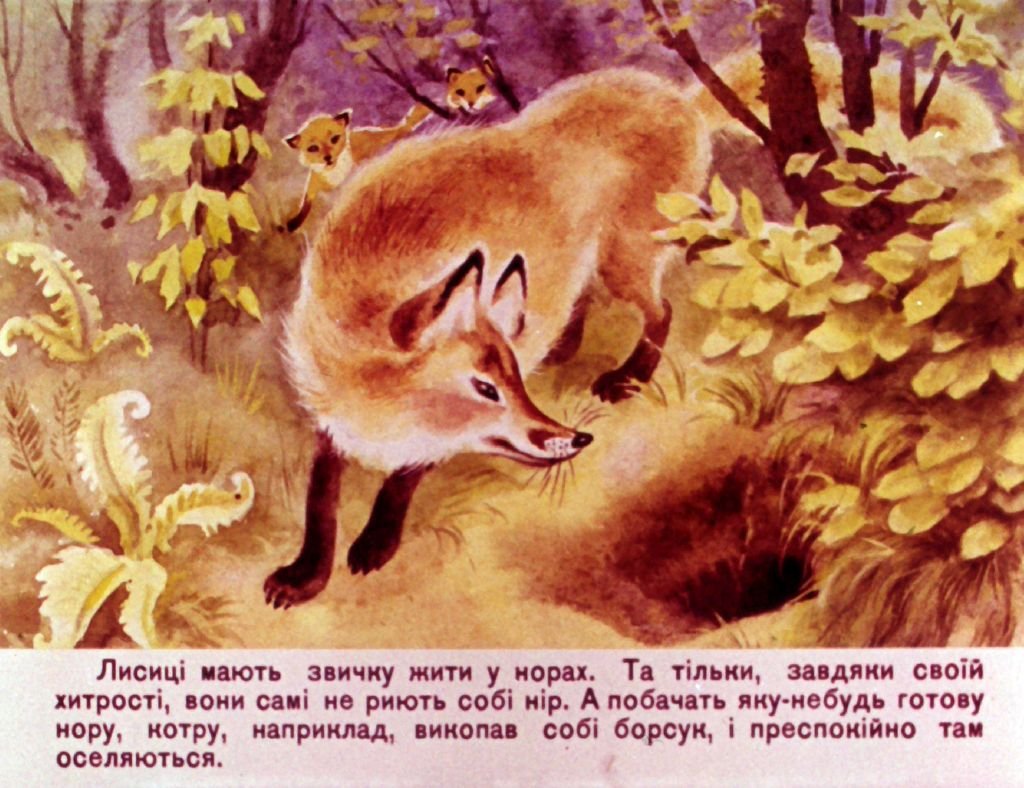 Кадр 3 диафильма «На охоте»