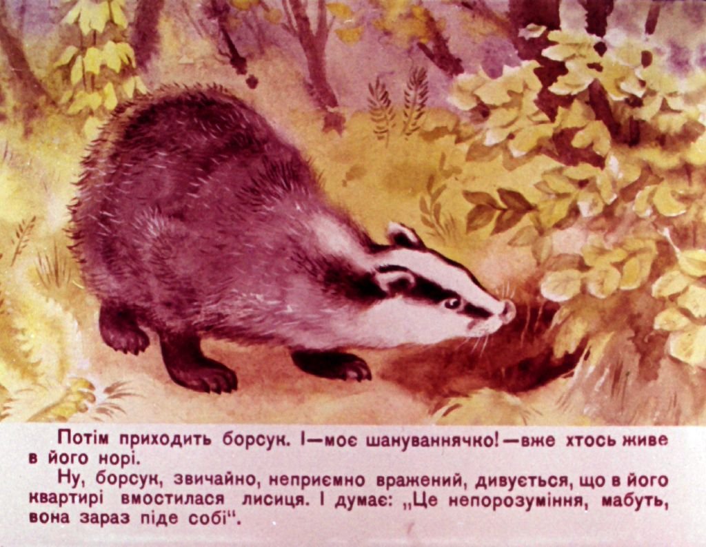 Кадр 4 диафильма «На охоте»