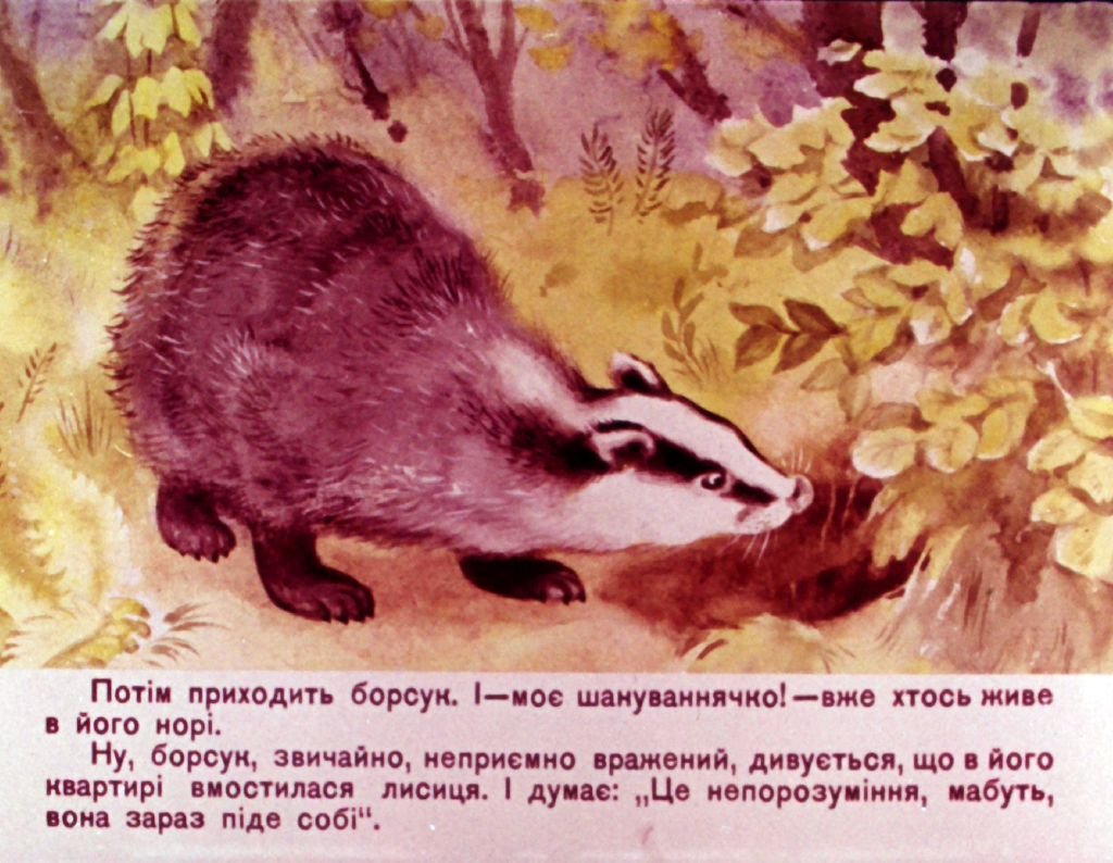 Кадр 5 диафильма «На охоте»
