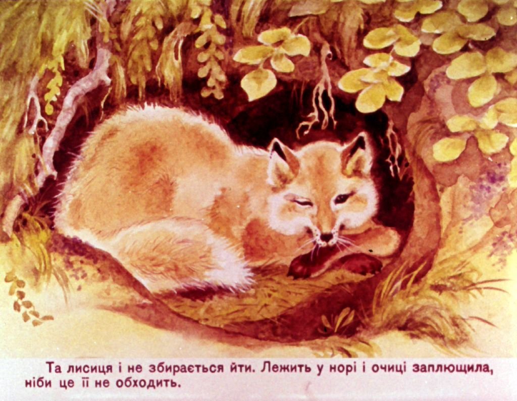 Кадр 6 диафильма «На охоте»