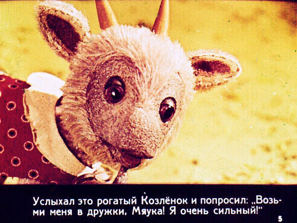 Кадр 6 диафильма «Как Мяука себе друга искал»