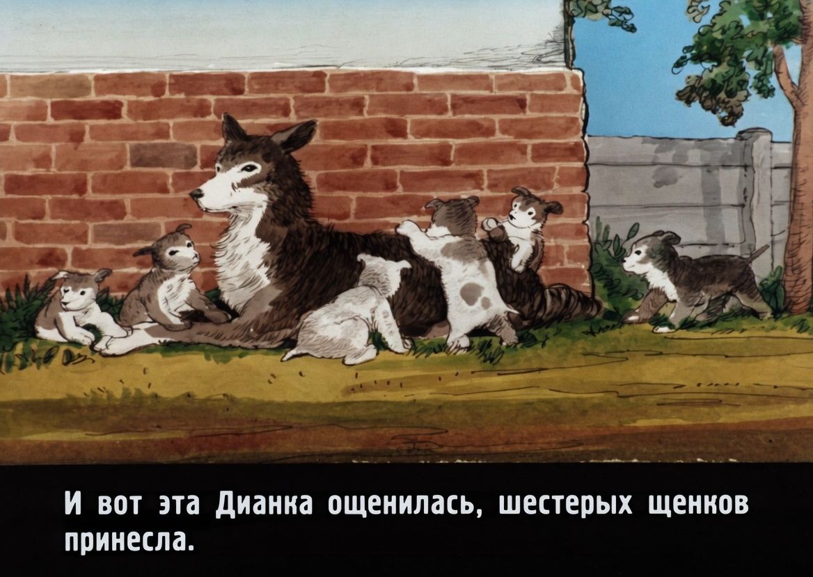 Кадр 3 диафильма «Дружок»