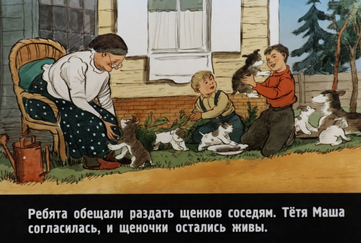 Кадр 5 диафильма «Дружок»