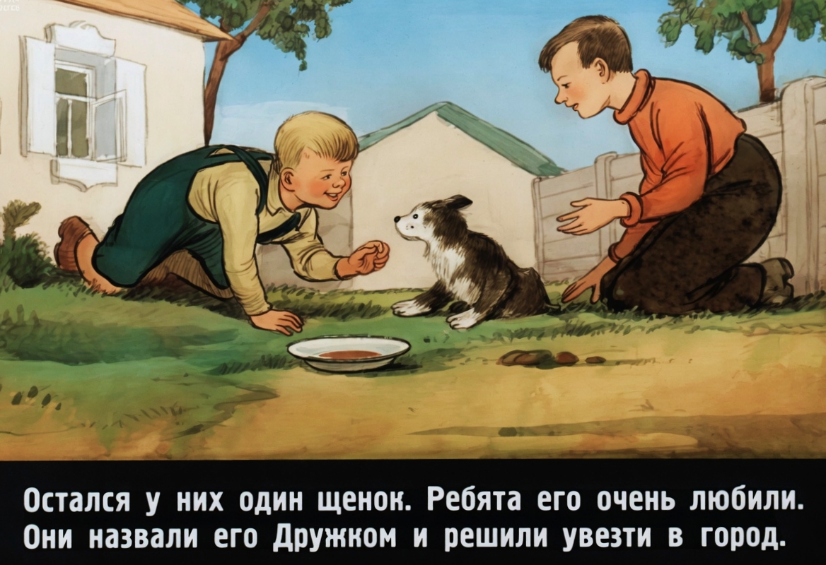 Кадр 7 диафильма «Дружок»