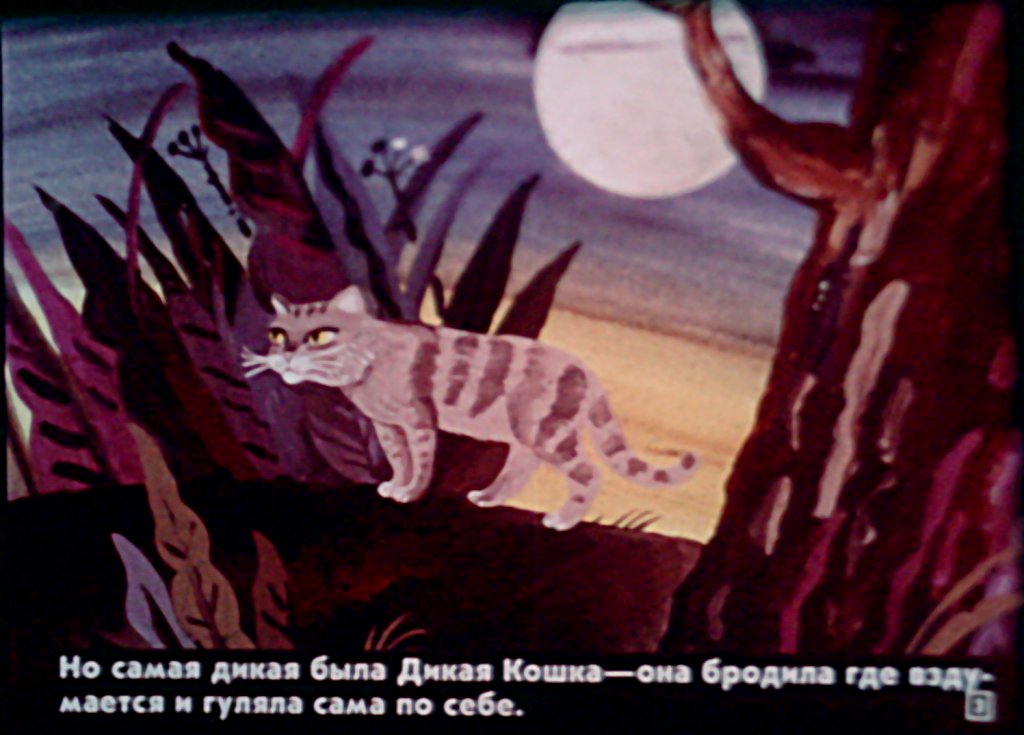 Кадр 3 диафильма «Кошка, гулявшая сама по себе»