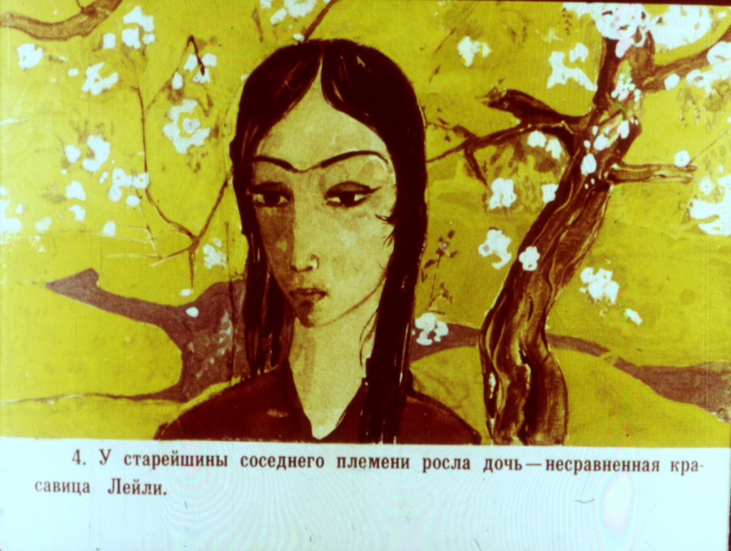 Кадр 5 диафильма «Лейли и Меджнун»