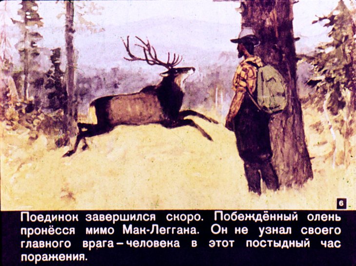 Кадр 6 диафильма «Приключения Мак-Леггана»