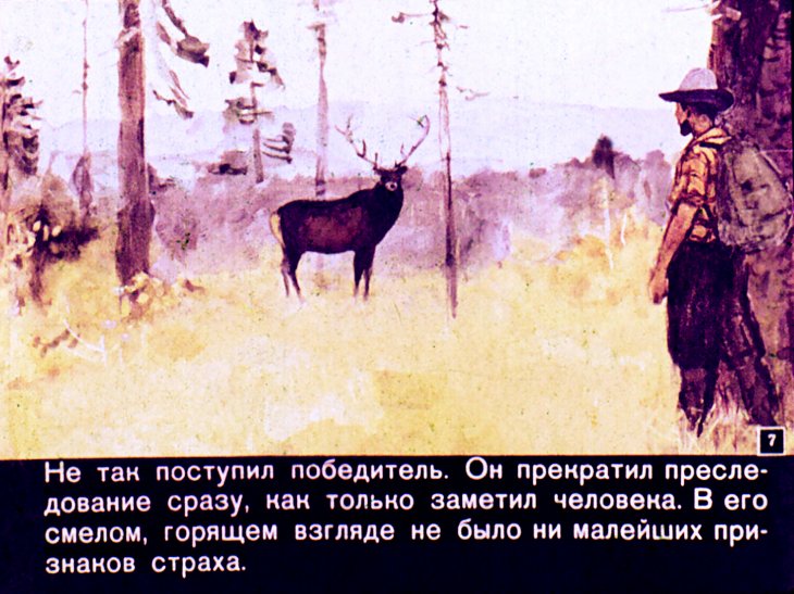 Кадр 7 диафильма «Приключения Мак-Леггана»