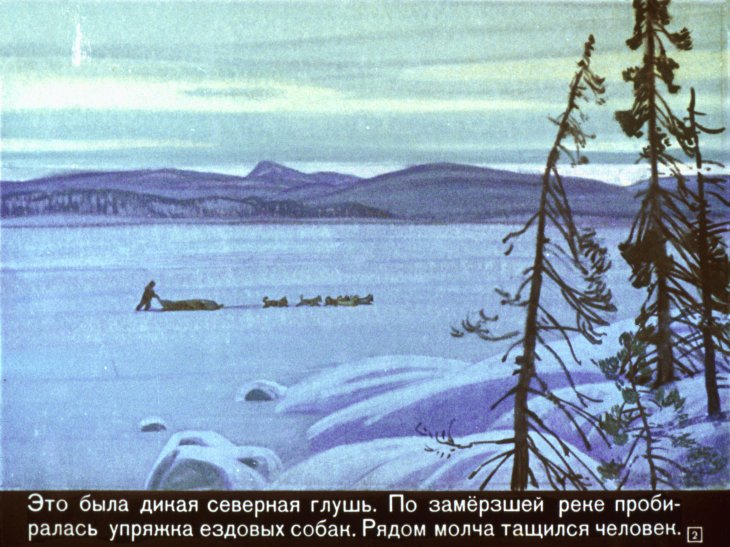 Кадр 2 диафильма «Белый Клык»