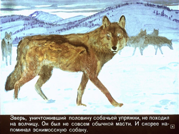 Кадр 4 диафильма «Белый Клык»