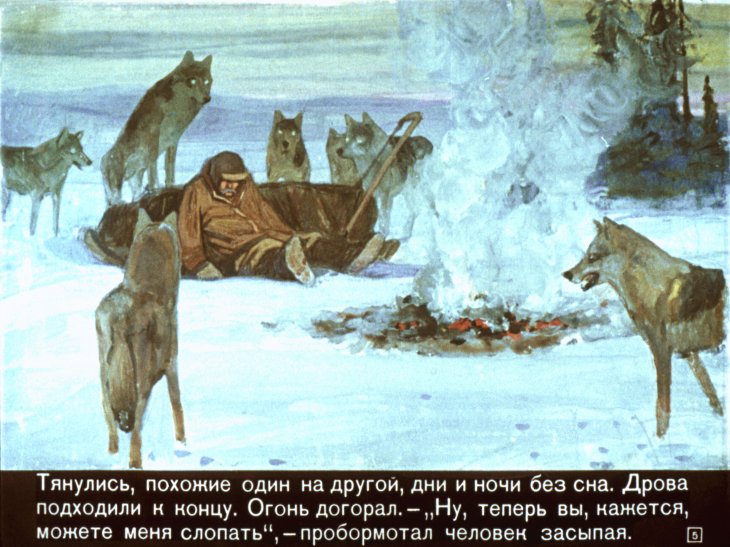 Кадр 5 диафильма «Белый Клык»