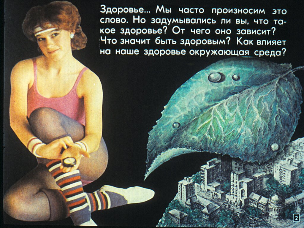 Кадр 2 диафильма «Здоровье и окружающая среда»