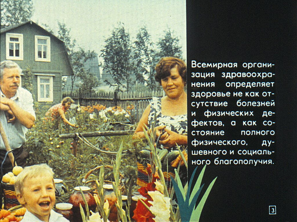 Кадр 3 диафильма «Здоровье и окружающая среда»