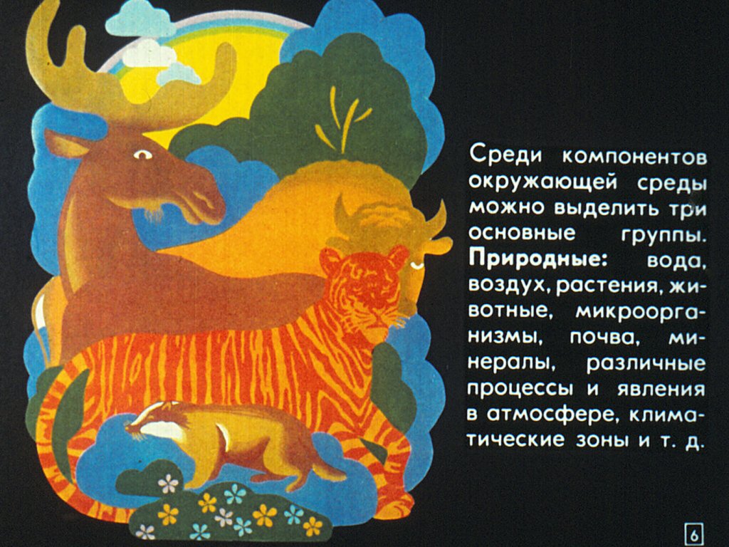 Кадр 6 диафильма «Здоровье и окружающая среда»
