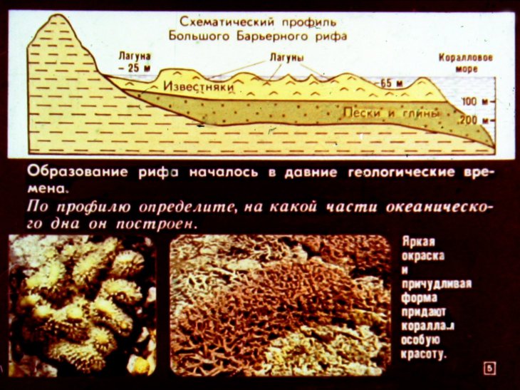 Кадр 5 диафильма «Австралия»