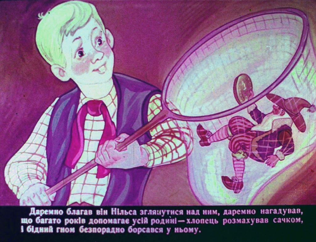 Кадр 7 диафильма «Чудесное путешествие Нильса Гольгерсона с дикими гусями. Часть 1»