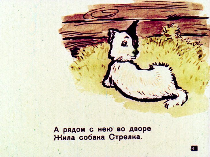 Кадр 4 диафильма «Белка и Стрелка»