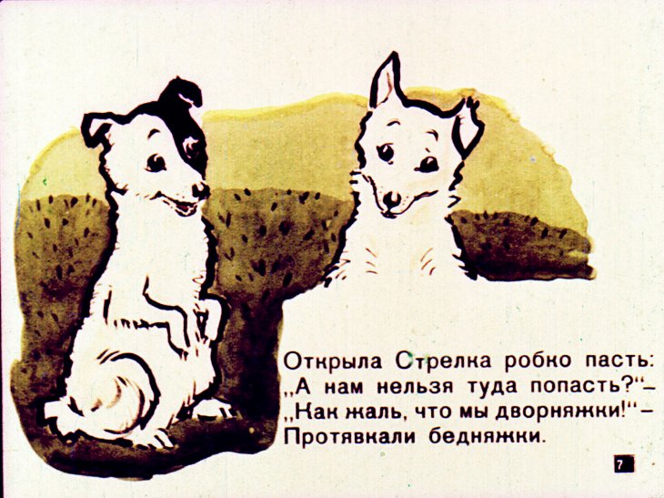 Кадр 7 диафильма «Белка и Стрелка»