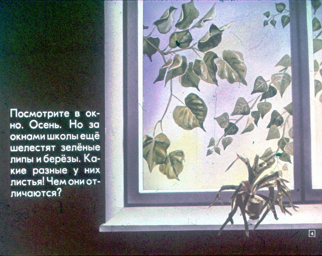 Кадр 4 диафильма «Учитесь рисовать»