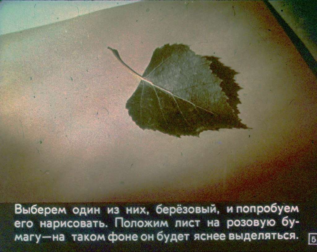 Кадр 5 диафильма «Учитесь рисовать»