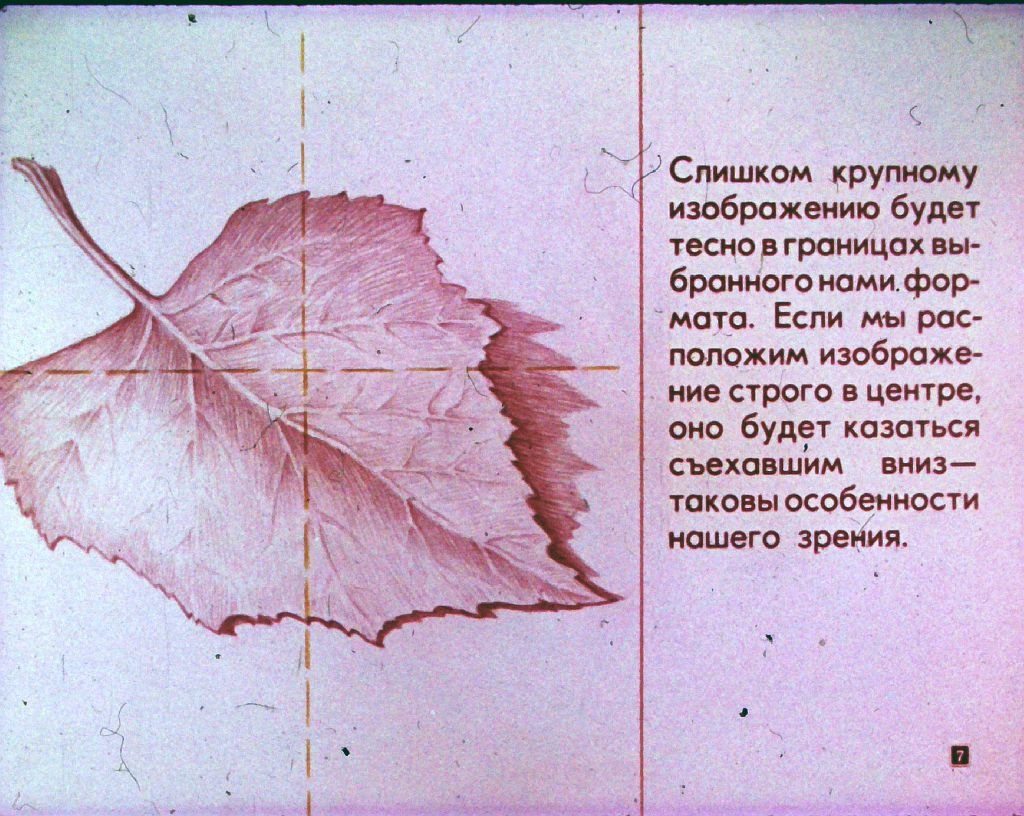 Кадр 7 диафильма «Учитесь рисовать»