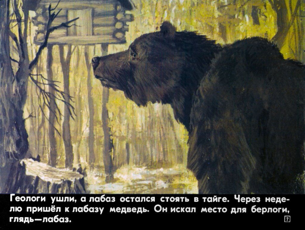 Кадр 7 диафильма «Случай в тайге»