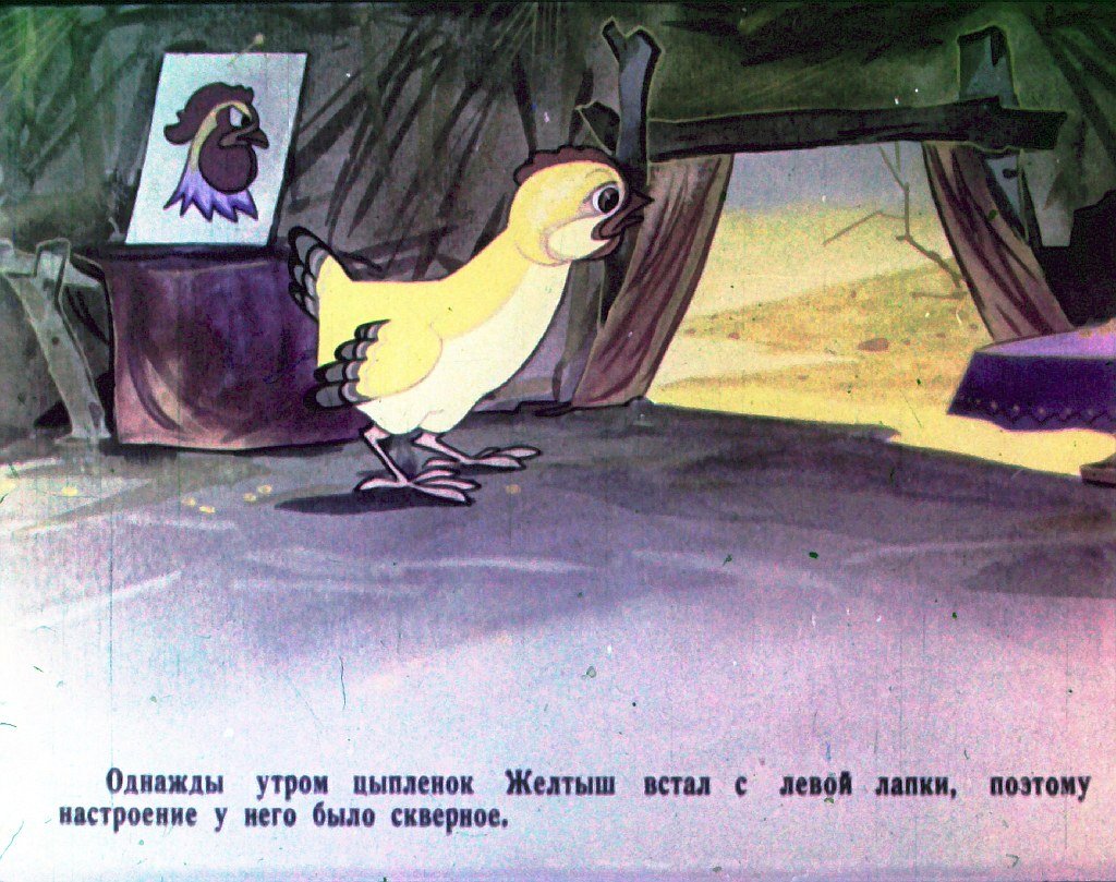 Кадр 2 диафильма «Я цыпленок, ты цыпленок. Часть 1»
